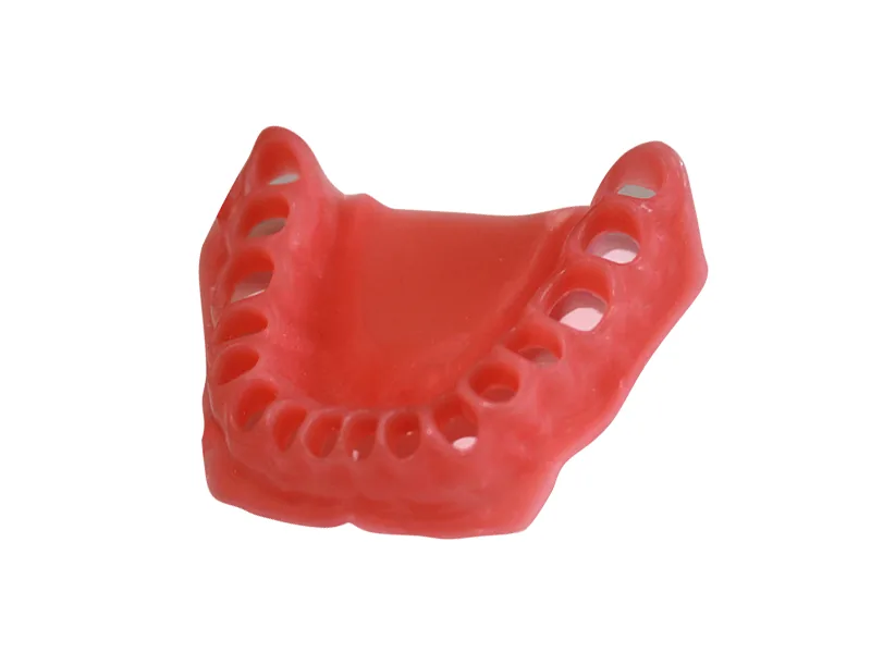 Слизистая нижней челюсти Зарница ДН-32